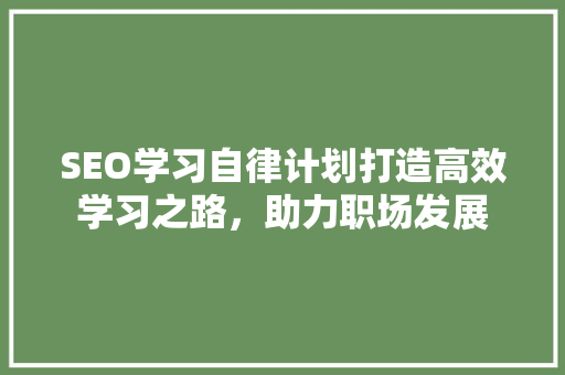 SEO学习自律计划打造高效学习之路，助力职场发展