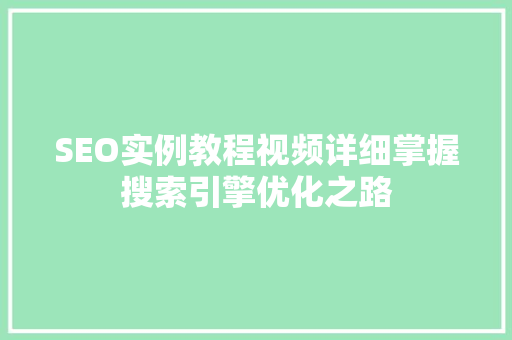 SEO实例教程视频详细掌握搜索引擎优化之路