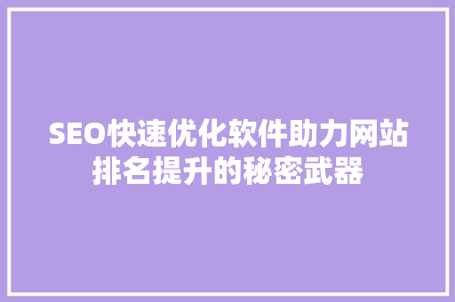 SEO快速优化软件助力网站排名提升的秘密武器