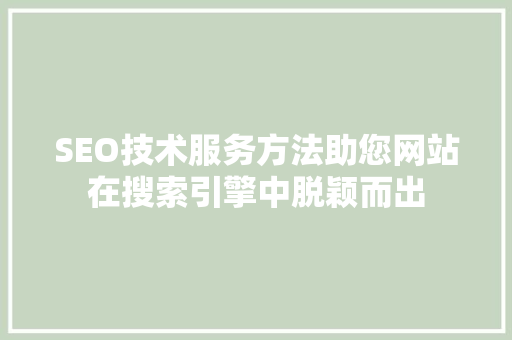 SEO技术服务方法助您网站在搜索引擎中脱颖而出