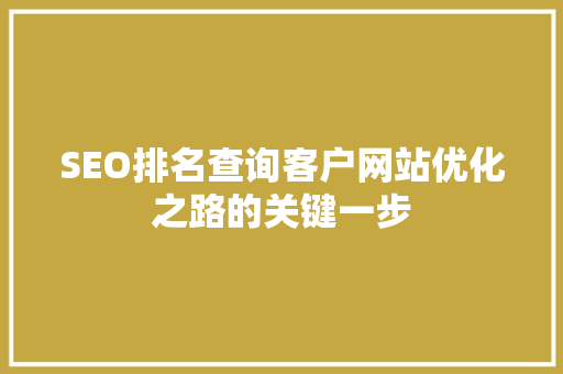 SEO排名查询客户网站优化之路的关键一步