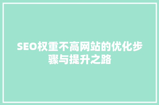 SEO权重不高网站的优化步骤与提升之路