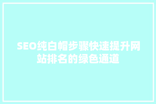SEO纯白帽步骤快速提升网站排名的绿色通道