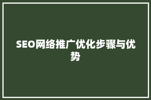 SEO网络推广优化步骤与优势