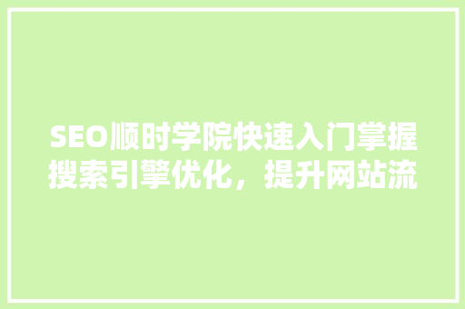 SEO顺时学院快速入门掌握搜索引擎优化，提升网站流量与排名