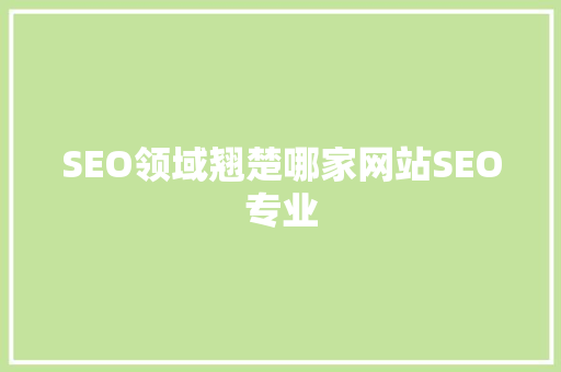 SEO领域翘楚哪家网站SEO专业