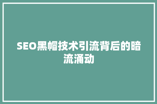 SEO黑帽技术引流背后的暗流涌动