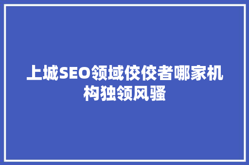 上城SEO领域佼佼者哪家机构独领风骚