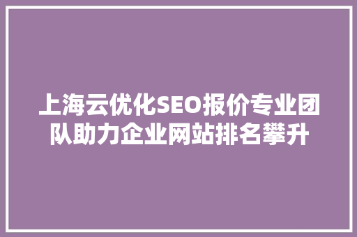 上海云优化SEO报价专业团队助力企业网站排名攀升