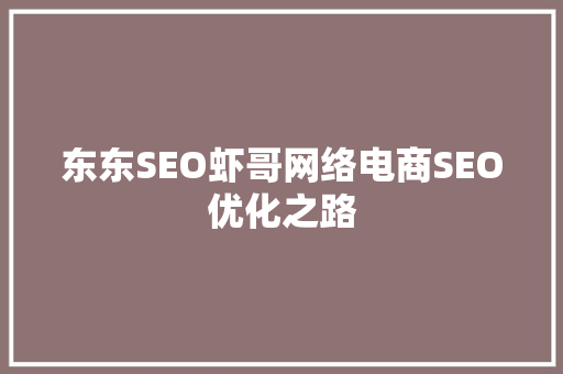 东东SEO虾哥网络电商SEO优化之路