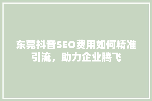 东莞抖音SEO费用如何精准引流，助力企业腾飞