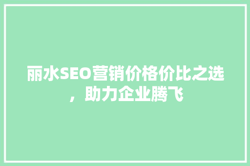 丽水SEO营销价格价比之选，助力企业腾飞