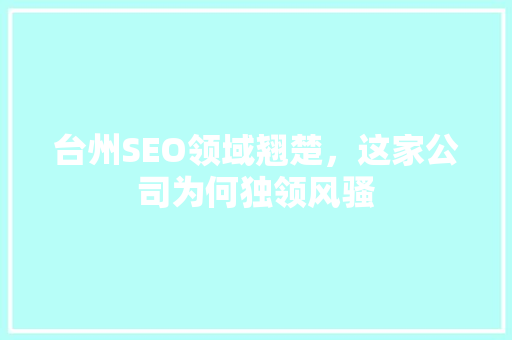 台州SEO领域翘楚，这家公司为何独领风骚