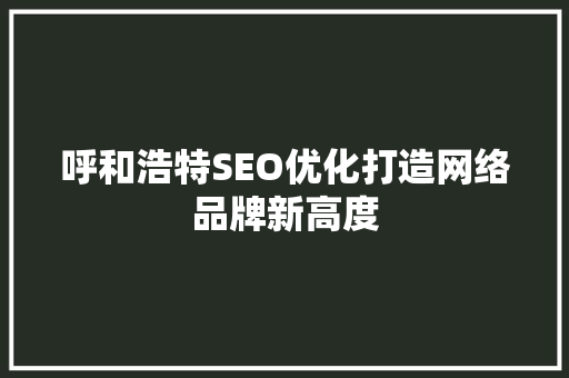 呼和浩特SEO优化打造网络品牌新高度