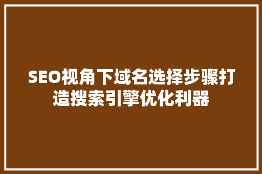 SEO视角下域名选择步骤打造搜索引擎优化利器