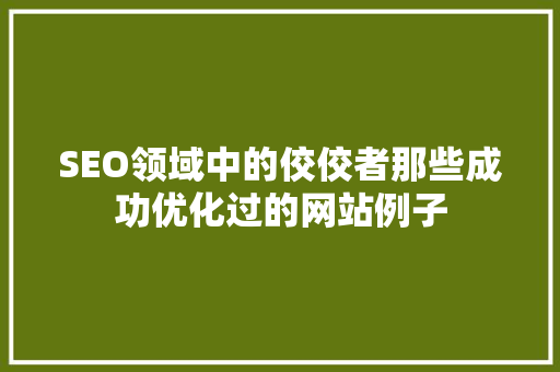 SEO领域中的佼佼者那些成功优化过的网站例子