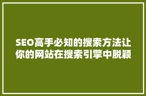 SEO高手必知的搜索方法让你的网站在搜索引擎中脱颖而出 SEO高手必知的搜索方法让你的网站在搜索引擎中脱颖而出