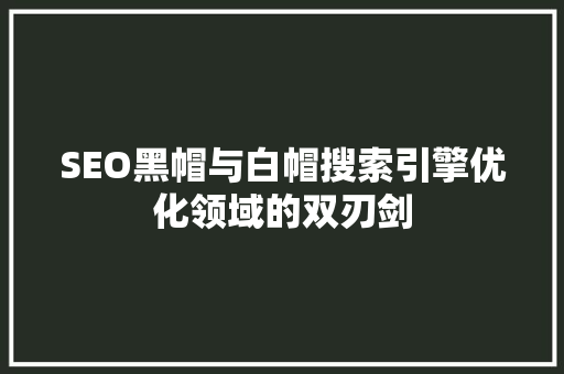SEO黑帽与白帽搜索引擎优化领域的双刃剑