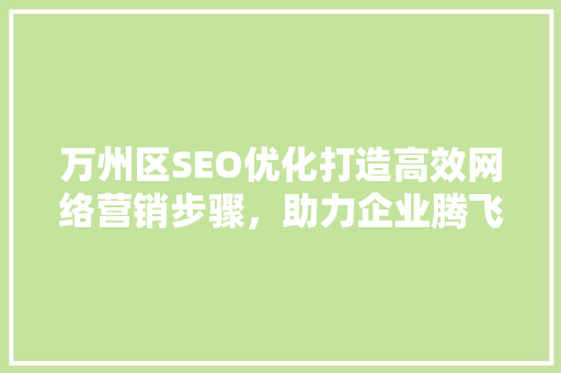 万州区SEO优化打造高效网络营销步骤，助力企业腾飞