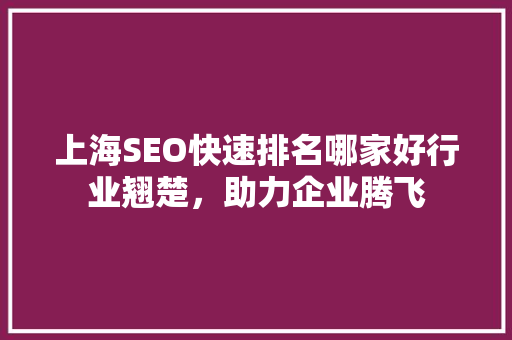 上海SEO快速排名哪家好行业翘楚,助力企业腾飞 上海SEO快速排名哪家好行业翘楚,助力企业腾飞