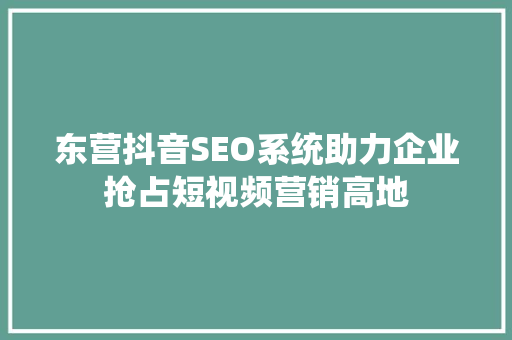 东营抖音SEO系统助力企业抢占短视频营销高地