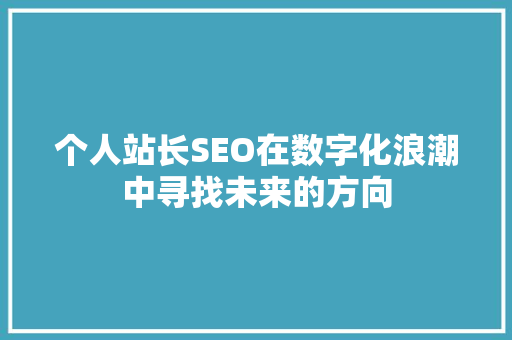 个人站长SEO在数字化浪潮中寻找未来的方向