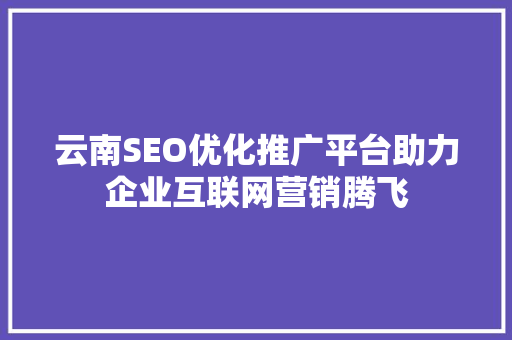 云南SEO优化推广平台助力企业互联网营销腾飞 网络技术