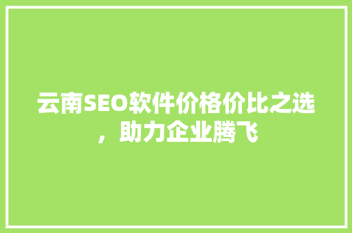 云南SEO软件价格价比之选，助力企业腾飞