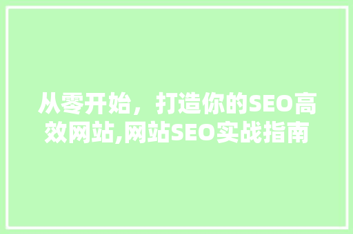 从零开始，打造你的SEO高效网站,网站SEO实战指南