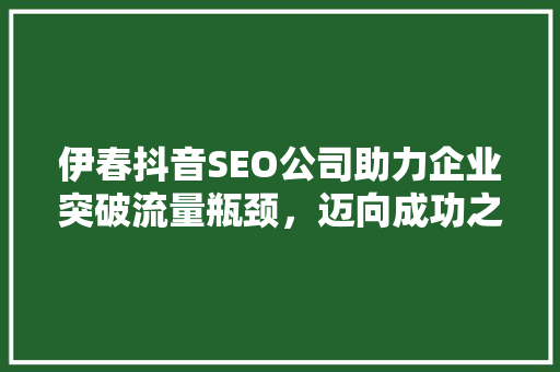 伊春抖音SEO公司助力企业突破流量瓶颈，迈向成功之路