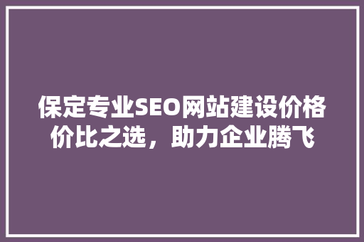 保定专业SEO网站建设价格价比之选，助力企业腾飞