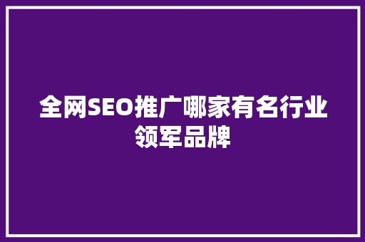 全网SEO推广哪家有名行业领军品牌