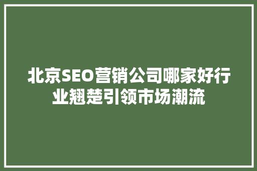 北京SEO营销公司哪家好行业翘楚引领市场潮流