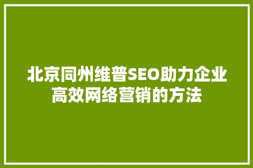 北京同州维普SEO助力企业高效网络营销的方法