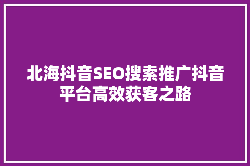 北海抖音SEO搜索推广抖音平台高效获客之路