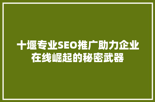 十堰专业SEO推广助力企业在线崛起的秘密武器