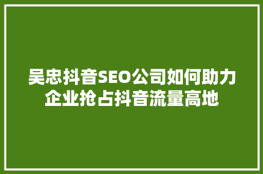 吴忠抖音SEO公司如何助力企业抢占抖音流量高地