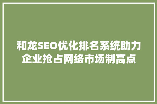和龙SEO优化排名系统助力企业抢占网络市场制高点