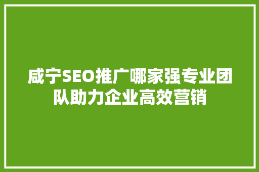 咸宁SEO推广哪家强专业团队助力企业高效营销