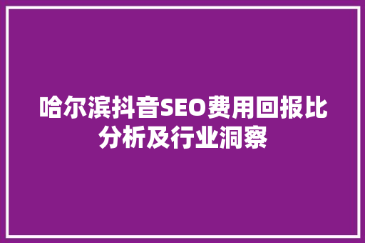 哈尔滨抖音SEO费用回报比分析及行业洞察
