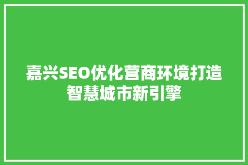 嘉兴SEO优化营商环境打造智慧城市新引擎 编程语言