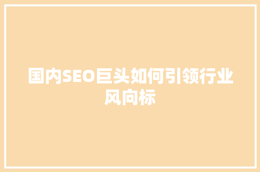 国内SEO巨头如何引领行业风向标
