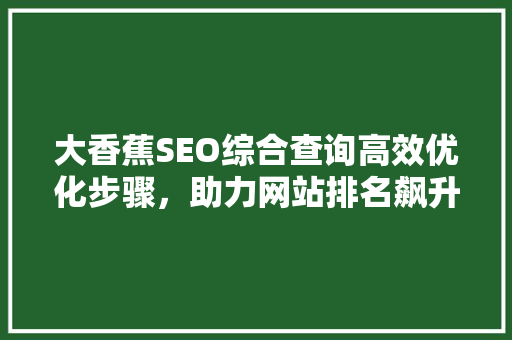大香蕉SEO综合查询高效优化步骤，助力网站排名飙升