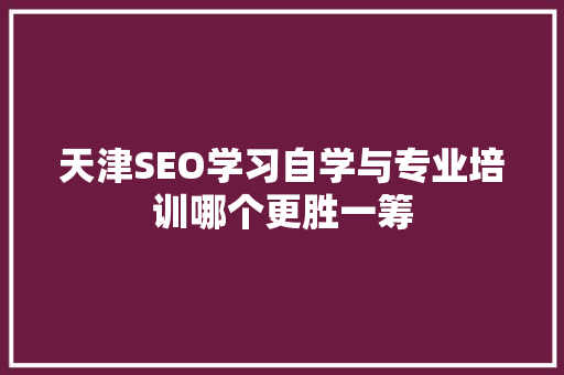 天津SEO学习自学与专业培训哪个更胜一筹