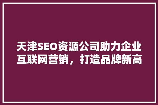 天津SEO资源公司助力企业互联网营销，打造品牌新高度