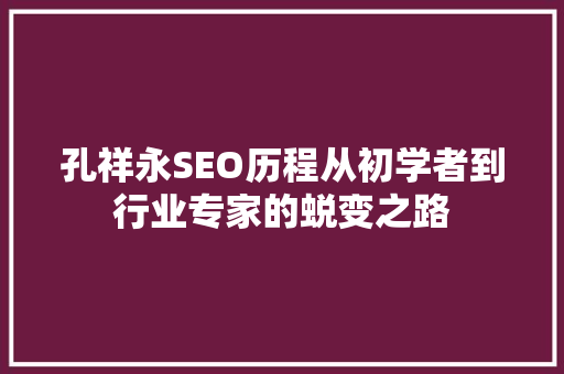 孔祥永SEO历程从初学者到行业专家的蜕变之路