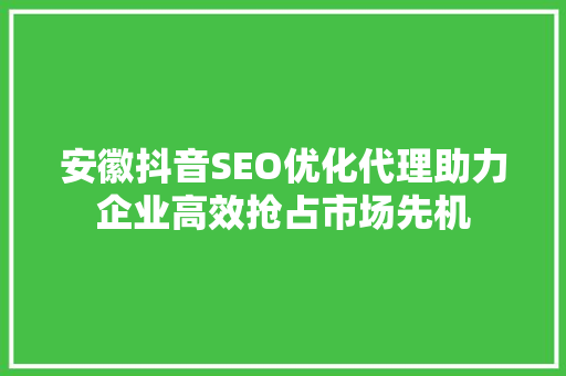 安徽抖音SEO优化代理助力企业高效抢占市场先机