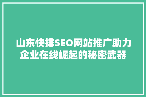 山东快排SEO网站推广助力企业在线崛起的秘密武器
