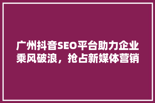 广州抖音SEO平台助力企业乘风破浪，抢占新媒体营销高地 电脑基础