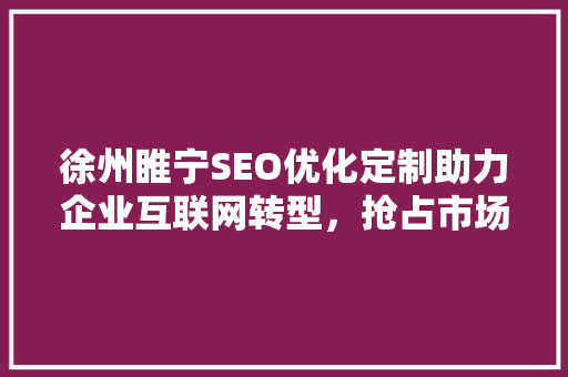 徐州睢宁SEO优化定制助力企业互联网转型，抢占市场先机 电脑基础